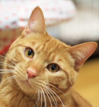 超のつく甘えん坊♡寂しん坊のヤンチャ坊主