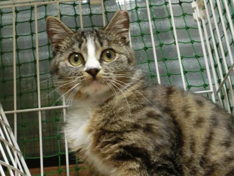 好奇心旺盛な遊び好きな子