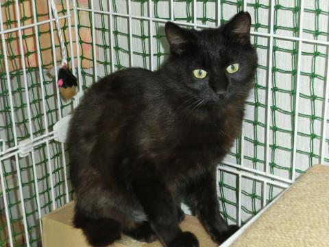 ぽっちゃりビビりな男の子