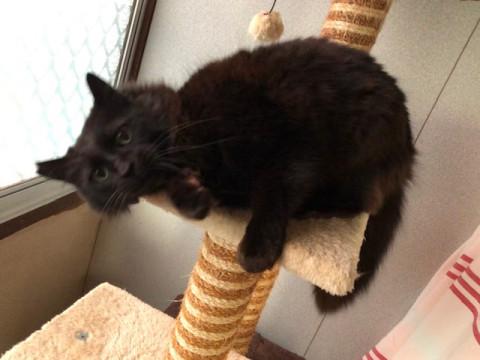 現場遺棄ゴロスリの女の子