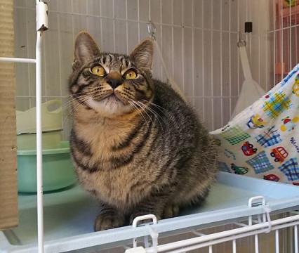 生後7か月まだまだ成長中