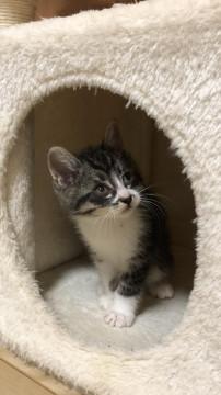 ちびちびブラザーズ(*´∀｀*)