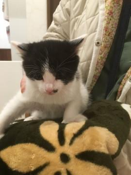 黒子チャームポイント女の子