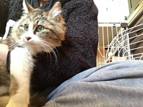 お外が似合わない子です(=^x^=)