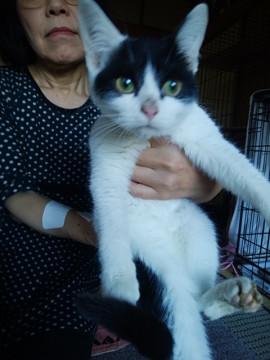 家族を探しています。