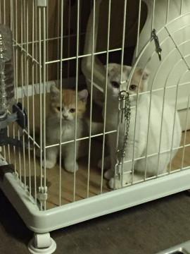 ありがとうございました！