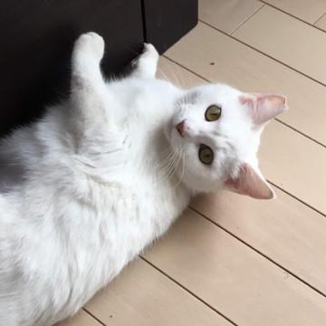 1歳女の子　お目目パッチリ