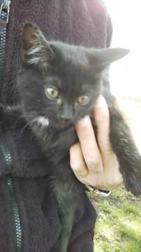 候補者様、面談待ち中一時停止❗