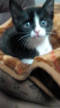 人口哺乳で育てた甘ったれちゃん