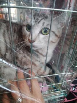 お見合い予定有ります。