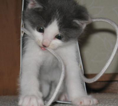 好奇心いっぱいの健康優良児