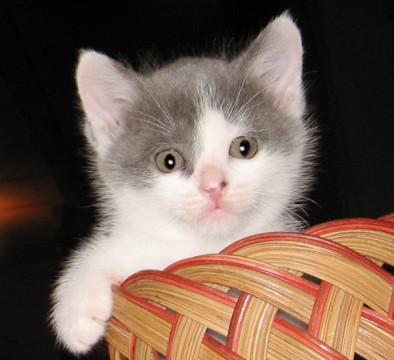 争うよりマイペースでいくおっとりクン