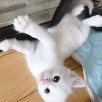 ふわふわ甘えん坊なタレ目くん♡