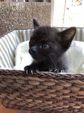 おっとりさんの女の子。