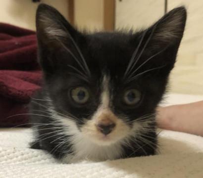 生後1か月半女の子