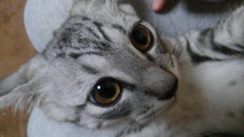 ダイ・・大根のダイです。