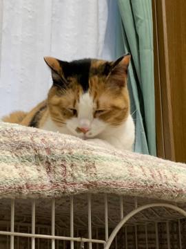 決定☆人との関わり合いが大好きな子