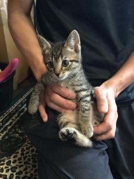 元気印のいっくん