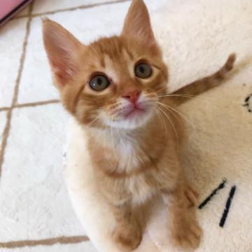 警察から保護された兄妹・ダニーくん