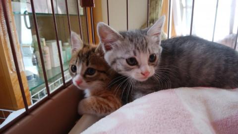 ボク達　これからもずっと一緒が良いな