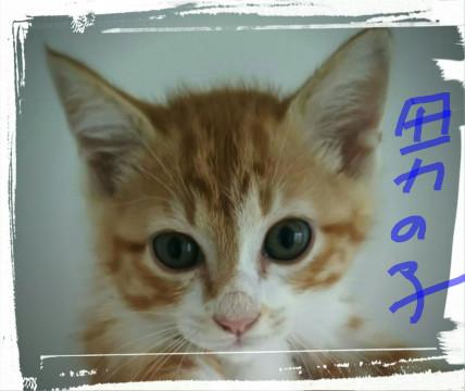 交渉中のため募集を一旦停止します