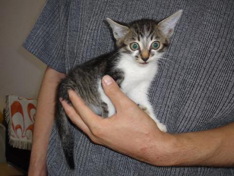 足が不自由ですが、元気です。