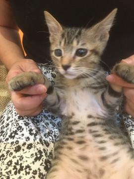 お目片目濁り馴れ馴れ男の子