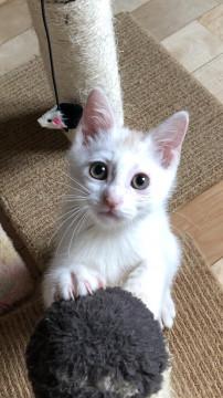 ちいさな 兄弟姉妹♬