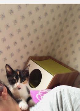 4兄弟で一番の甘えん坊♡ *°