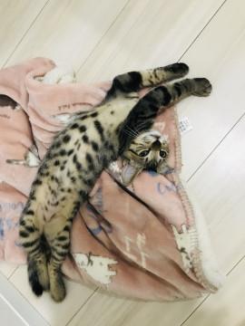 4兄弟＊甘えん坊な日翔