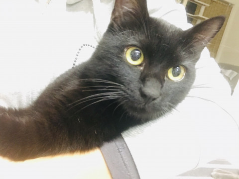 4兄弟＊人が大好き大洲