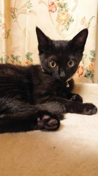 ♡とっても甘えん坊のゴロスリくん♡