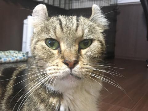 ビビちゃん