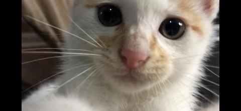 ヤンチャ盛りのこつぶです