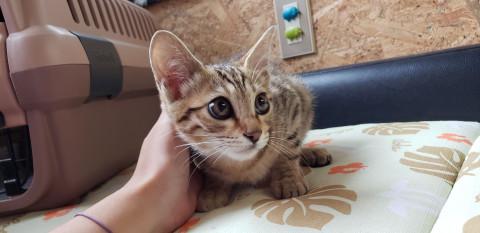 2ヶ月半の慣れ慣れ兄妹