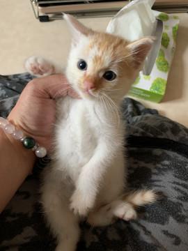 おっとり男の子