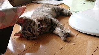 泣き声も体も小さな女の子です