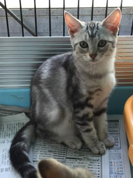 真菌ほぼ完治のスコ君(右の子！)