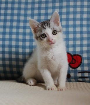 甘えん坊の男の子