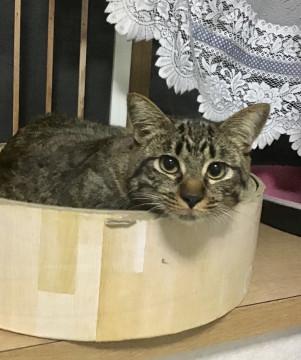 おとなしくて控えめなカール君