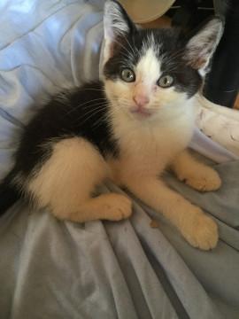 マイペース白黒くん