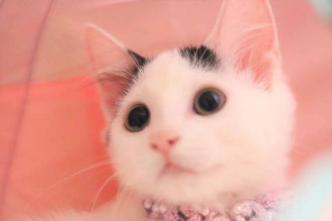 人馴れ抜群＆超甘えん坊のおっとりさん