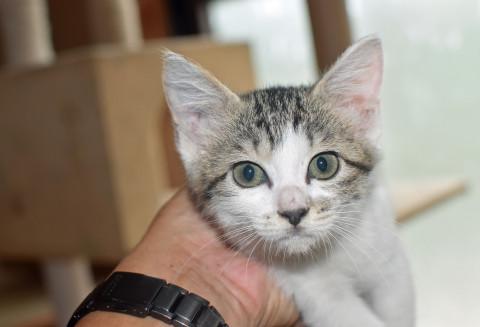 性格美人さんです