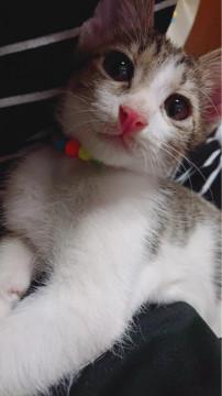 遊び盛りの女の子