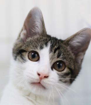 一日中抱っこでゴロゴロ♡甘え上手な男の子