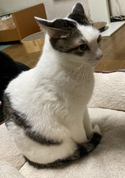 人が好きな綺麗な男の子