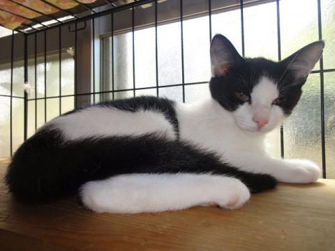 甘えん坊の男の仔