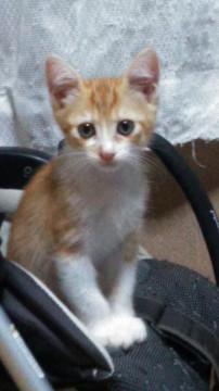 生後2ヶ月弱の男の子