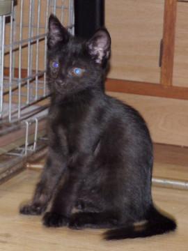 よく遊び元気です。