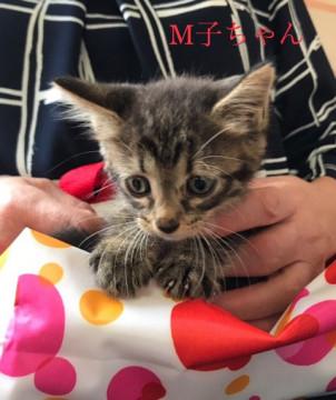 立っちが可愛い1ヶ月のM子